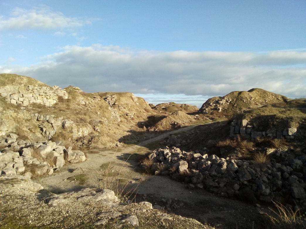 Portland Quarries Nature Park Dorset Wildlife Trust